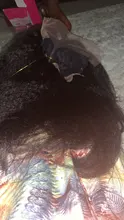 30 pulgadas recto rizado medio malla con división peluca 180% densidad brasileño cabello humano Pre arrancado con el pelo del bebé Remy sin costuras para las mujeres