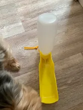 Botella de agua portátil de plástico para perros y mascotas, Bol plegable de viaje al aire libre, alimentador de agua potable, 250ml/500ml