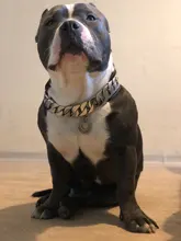 Dog-Chain-Collars Bulldog Pet-Training Stainless-Steel Metal Silver Strong for Large