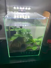 Luz led súper ligera de acuario para plantas, iluminación para cultivo de plantas acuáticas, lámpara de clip, resistente al agua, para tanque de peces, 5w, 10w y 15w