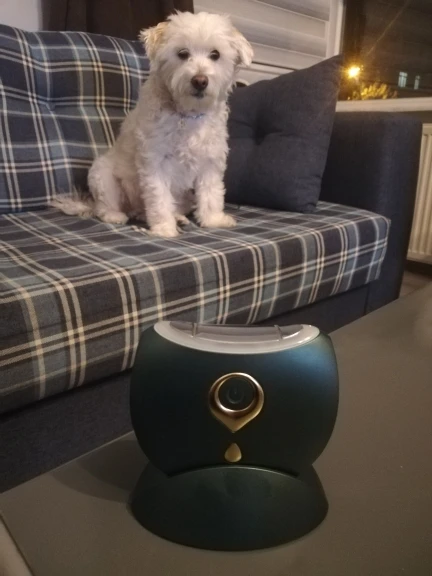 Отзыв о товаре Массажер для шеи OKACHI GLIYA, 2021 г., для массажа лица, разглаживания и удаления морщин, вибрация, холодный и горячий компресс, светодиодная подсветка, EMS терапия от пользователя S***a