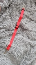 Leads Auto-Traction-Products Car-Dog-Seat-Belt Safety-Lever Dog-Collars Pet-Dogs Vehicle