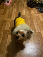 Jacket Bulldog-Clothing Pet-Coat Puppy Dogs Pug Chihuahua French Waterproof Winter Small