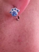 Pendiente de tuerca de Plata de Ley 925 para mujer y niña, aretes de diseño de garra de gato de circón azul, joyería para oreja 2020