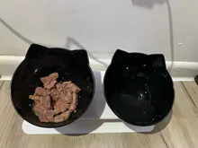 Cat-Bowls Bowl-Supplies Feeders Raised-Stand Double For Cats Dogs Non-Slip with Pet-Food