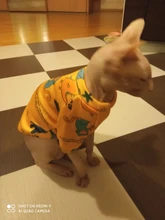 Cartoon Cat Hoodie Sweater Autumn Winter Pet Cat Clothes for Cats Katten Kedi Pullovers