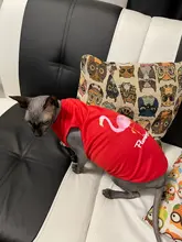 Ropa de perro para perros pequeños estampado bonito verano mascotas camiseta perro ropa chaleco para gatos mascota de algodón de T camisa Pug ropa trajes