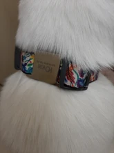 Etiqueta de mascota personalizada para Collar Etiqueta de perro de acero inoxidable, nombre de identificación, etiquetas de perritos de teléfono para perros, gatos, Bulldog, Yorkies, Dirección de Collar grabado para perro