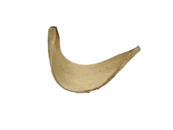 

EUROPALMS Galara leaf, dried, gold