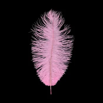 

Ar149 ostrich feather 20-25 cm, 10 PCs (kl-028 pink)