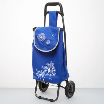 

Trolley luggage hand 20 kg (bag), 50 kg (frame) dt-22 Blue
