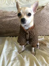 Coats Pet-Clothing Dogs-Costume Dog-Jacket Pets Fleece Winter Medium Small for Ropa Perro