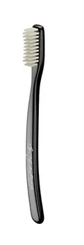 

Capitan paste medium brush-1 unit