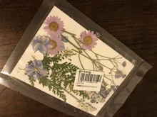 Dried Flowers Beauty-Decal Filling-Jewelry-Decoration Epoxy-Resin Dry Natural for DIY