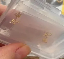 Canner-pendientes tipo botón de plata fina S925 para mujer, aretes de serpiente de forma pequeña, regalo diario, joyería fina