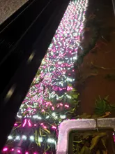 LICAH-luz LED para cultivo de plantas, acuario, LDP-1000, Envío Gratis