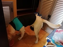 Chaleco impermeable para perros grandes y pequeños, abrigo cálido de invierno para cachorros, ropa para mascotas, 4XL, 5XL, nuevo