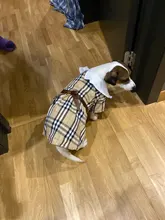 Dress Costume Dog-Puppy-Clothes PET PETCIRCLE Small Dog Classic Check Fit Pet-Cat All-Seasons