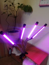 LED Grow Light USB Phyto Lamp Full Spectrum Grow Tent Complete Kit Phytolamp for Plants