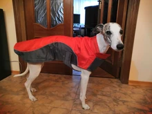 Puppy Jacket Coat Dogs Para Winter Medium Vest Apparel Small Large Warm for Ropa Perros