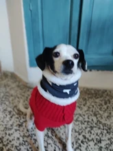 Bebé de invierno bufanda para niños y niñas de dibujos animados bufanda de animal de peluche de felpa niños otoño cálido cuello-O-Anillo de cuello pañuelo de cuello grueso