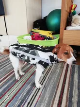 Dog Coat Dog-Jacket Labrador Reflective Large Breed Chihuahua Waterproof Winter Overalls