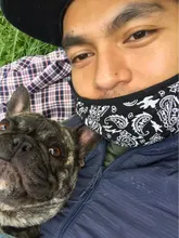 Cálido jersey con Schnauzer carta impresión suéter para perro traje suave para Chihuahua traje para Pug PC0944