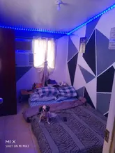 Tiras de luz LED WIFI RGB 5050, funciona con el asistente de Google Alexa, aplicación de teléfono, Color, 24V, TV, ordenador, dormitorio, Luces Led con Bluetooth