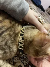 DIY Bling Personalized Dog Collar Rhinestones Leather Free Name Small Medium Pet