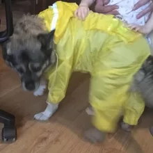 Jumpsuit Jacket Pet-Cloak Rain-Coat Labrador HOOPET Golden Retriever Waterproof Dogs
