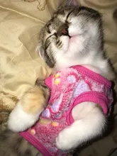 Cat Coats Jacket Dog-Costumes-Clothes Pet-Supplies Small Dogs Fleece Cartoon Autumn/winter