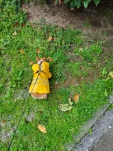 S-XL de ropa para perros chubasqueros con capucha, tira reflectante, abrigo de lluvia para perros, chaquetas impermeables, ropa transpirable para exteriores para cachorros