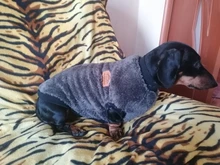 Dog Clothing Jacket Pullover French Bulldog Fleece Shirt Pet-Coat Puppy Camouflage Warm