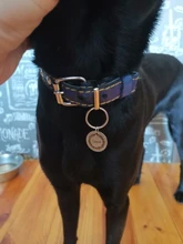 Engraved Pet ID Tags Personalized Pet ID Name Number Address for Dog Cat Puppy Collar