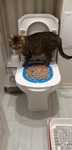 Cat Toilet Litter-Box Puppy-Cat-Litter-Mat Training-Kit Plastic 40--40--3.5cm