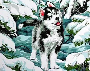 

Picture by numbers GX 9264 small husky 40*50
