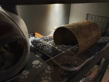 Manta de franela para mascotas, forro polar grueso suave, para cachorro, perro, gato, sofá, cojín, alfombra para el hogar, funda para dormir que mantiene el calor