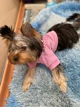 Shirt Outfits Dogs-Costume Dog-Vest Puppy Cotton Cheap Cute for Perro Ropa