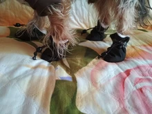 Dog-Shoes Socks Dogs Chihuahua Yorkie Snow Anti-Slip Small Winter Warm for Cats Thick