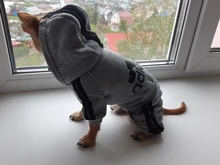 Pet Dog Clothes Fashion Hoodie Spring and Summer For Dogs Coat Jacket Cotton Ropa Perro