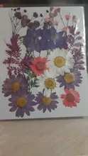 Dried Flower Accessori Necklace Pendant Craft Jewelry-Making Candle-Epoxy-Resin Dry-Plants