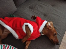 Christmas Dog Clothes Small Dogs Santa Costume for Pug Chihuahua Yorkshire Pet Cat Clothing