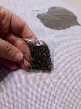 Silicone Bait Float Wobbler Shrimp Lobster Worm Fishing-Lure Lizards Twintails 4pcs 2g