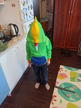 Sudadera con capucha para chico, ropa para Cosplay de León, ropa de calle, abrigo de estrellas de Brawls, juego caliente, de algodón, Otoño e Invierno