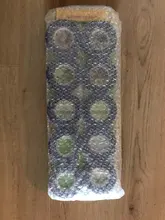 Tape-Set Pepper-Flower Tomato Vegetable-Grape Plant Cucumber Allsome-Tying-Machine 