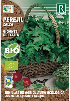 

Organic vegetable planting seeds giant parsley from Italy