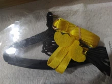 Leash-Set Training-Rope Parrot-Harness Cockatiel Birds Macaw Budgie Outdoor Flying And