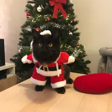 Christmas Cat Clothes Halloween Clothes For Cats Costume New Year Outfit Pet Cat Clothes