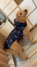 TOMEPETS impermeable para perro mascota de dibujos animados Adorable ropa suave ligero impermeable para grandes, medios de perro con capucha