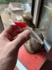 Изображение товара 5